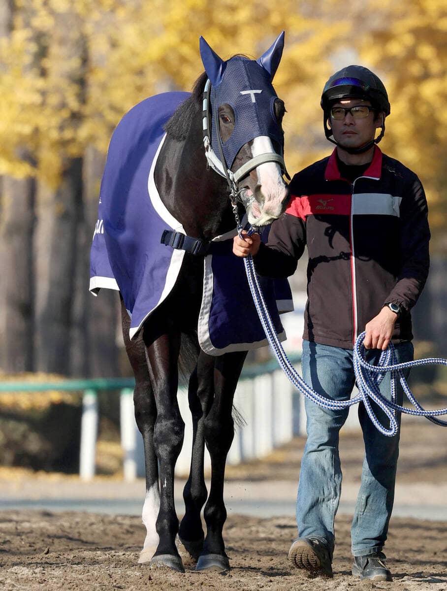 注目馬動向】天皇賞・秋を制したマスカレードボールがドバイ２競走に予備登録 次走は大阪杯を含めて検討 | その他競技 | スポーツブル (スポブル)