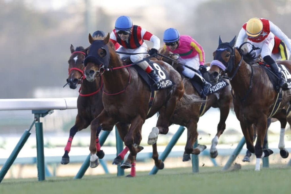 カーバンクルS】9歳馬ウイングレイテストが混戦を制する | その他競技