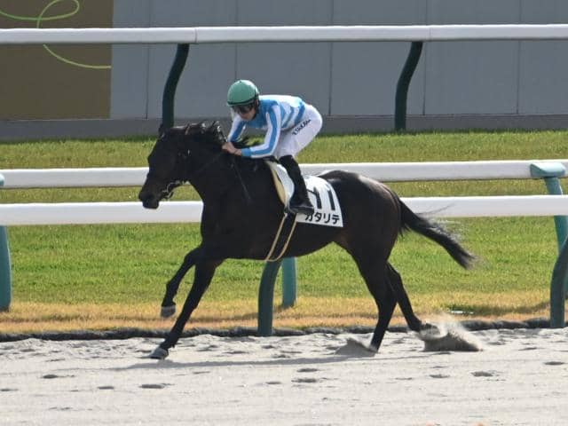 【船橋・ブルーバードC枠順】連勝中のカタリテは5枠7番、前走で大差勝ちのフィンガーは8枠13番