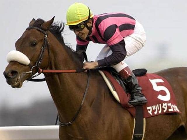 中山巧者が魅せた重賞初勝利 マツリダゴッホが制した07年AJCCを振り返る