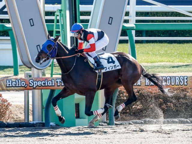 【船橋・ブルーバードC注目馬】ダート三冠に向けた登竜門 大舞台に向けて羽ばたく馬は