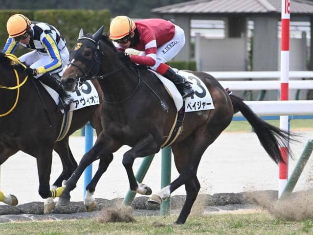 京都5R新馬戦結果】エピファネイア産駒ペイジャーが人気に応えてV 兄は