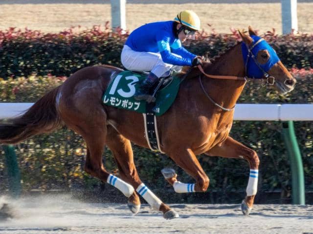 今年初産駒が誕生 レモンポップが重賞初制覇した23年の根岸S