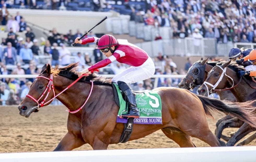 世界最高賞金レース、サウジカップの馬券発売…フォーエバーヤングら