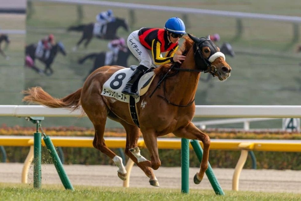 東京6R】フォーエバーヤング半妹が初勝利！ダーリングハーストが快勝