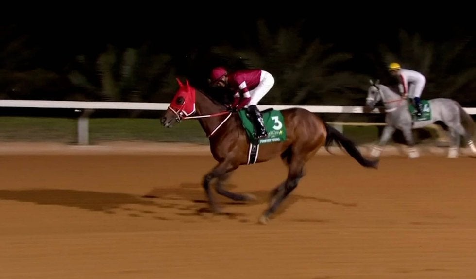 【サウジカップ】フォーエバーヤングが史上初の2連覇達成！ 圧巻競馬で1番人気の期待に応える