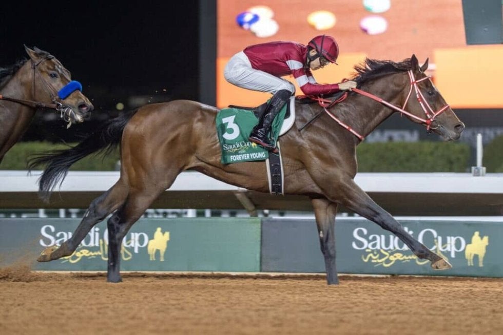 サウジカップ】フォーエバーヤングが史上初の連覇達成 | 相撲・格闘技