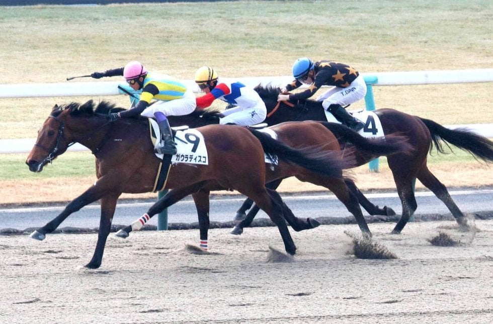 【京都１Ｒ・３歳未勝利】第２回京都競馬最終日の初戦は武豊騎手騎乗のガウラディスコが鮮やかに差し切る「もっと走れそう」