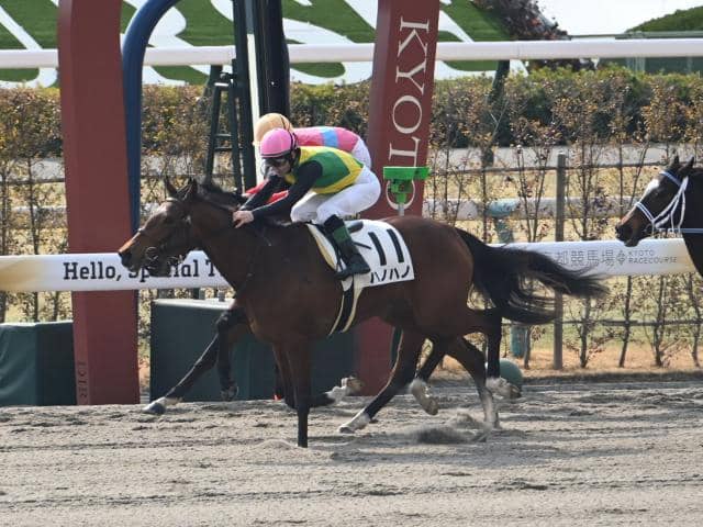 【京都2R新馬戦結果】モーリス産駒ハノハノが人気に応えてV