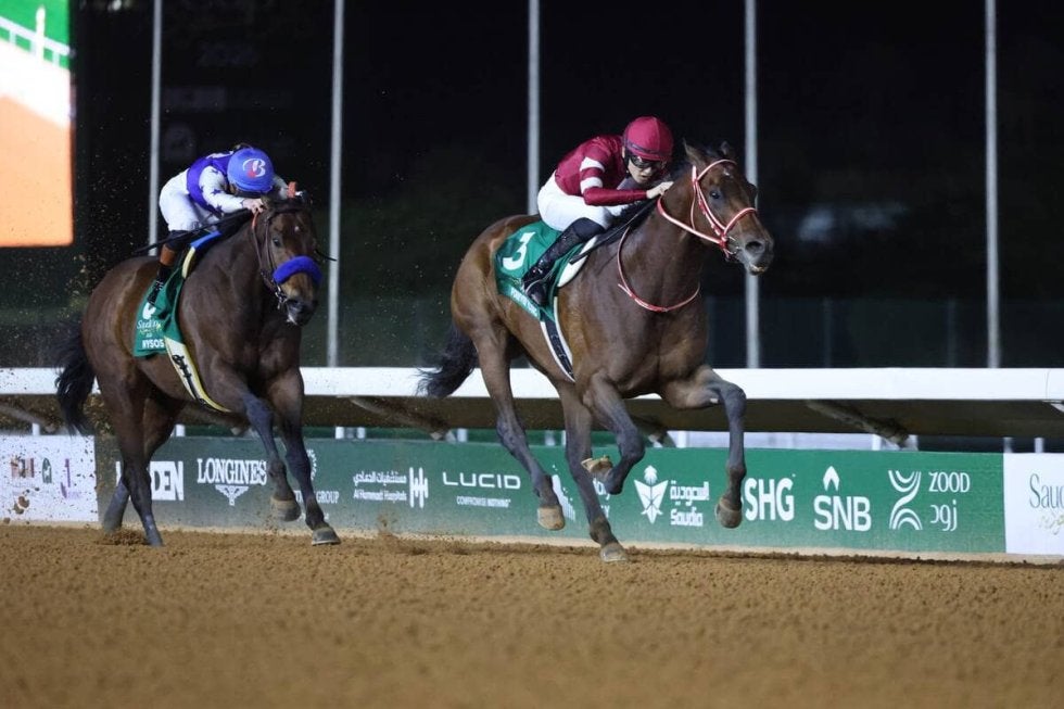 フォーエバーヤングの総獲得賞金４５億円超ってどんなもん？　種付けやトレセン預託の費用に換算するとすごい！