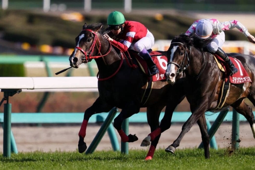 藤田晋オーナー重賞初Vのジャングロが引退