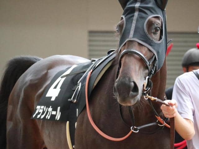 武豊×アランカール 母仔制覇なるか