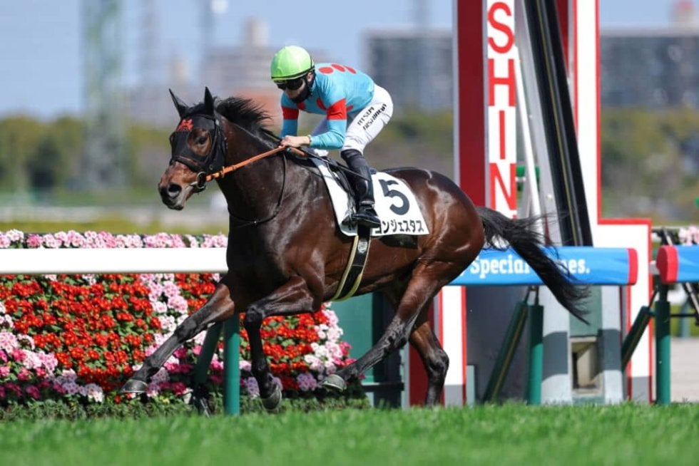 阪神6R】コントレイル産駒 コンジェスタスがデビュー2連勝 | その他競技