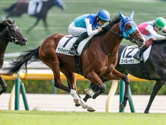 今日の注目ポイント】中山で弥生賞ディープインパクト記念 | その他競技