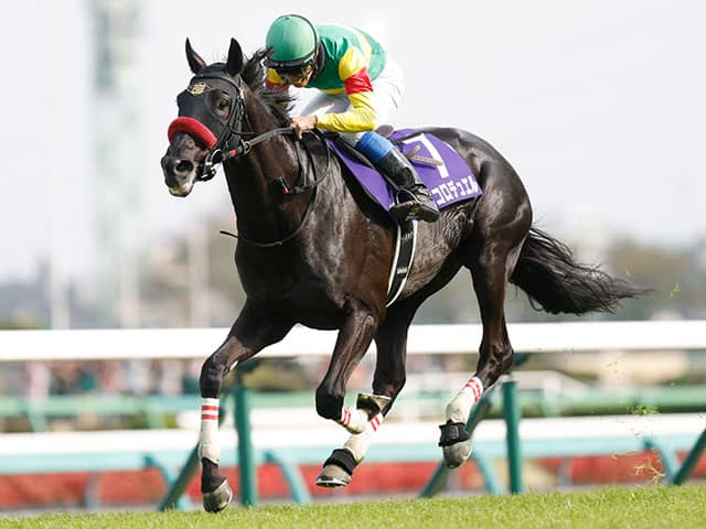 阪神SJ想定騎手】エコロデュエルは草野太郎騎手、ネビーイームは小牧加