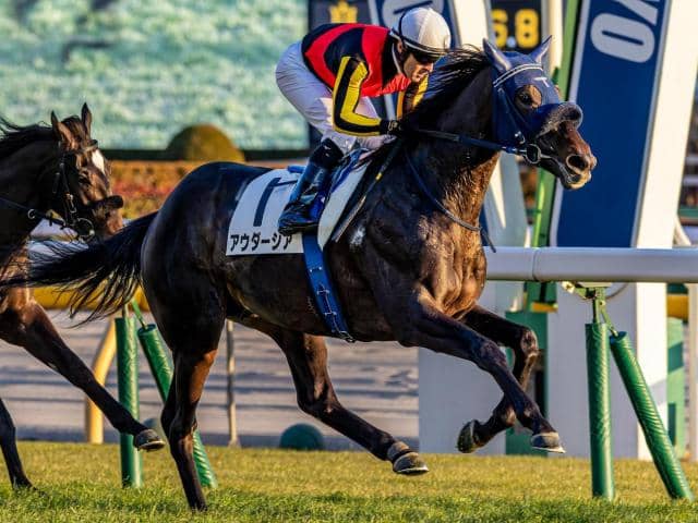 スプリングS】母は樫2着のリリーノーブル アウダーシアが一族悲願の重