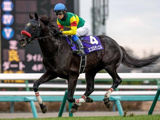 阪神SJ出走馬・騎手確定】エコロデュエル＆草野太郎騎手、ネビーイーム