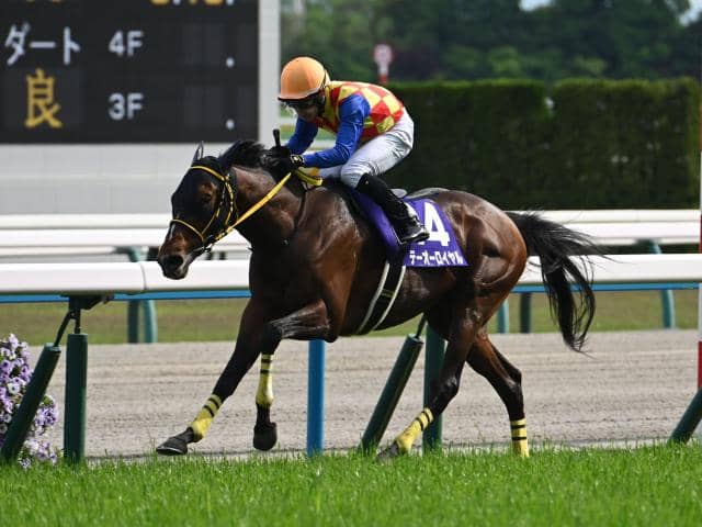 先週のJRA抹消馬】24年の天皇賞(春)覇者テーオーロイヤル、昨年の
