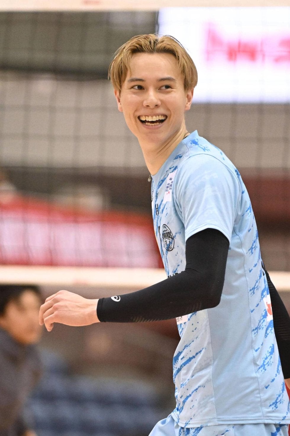 愛犬と一緒に楽しむ桜散歩のすすめ