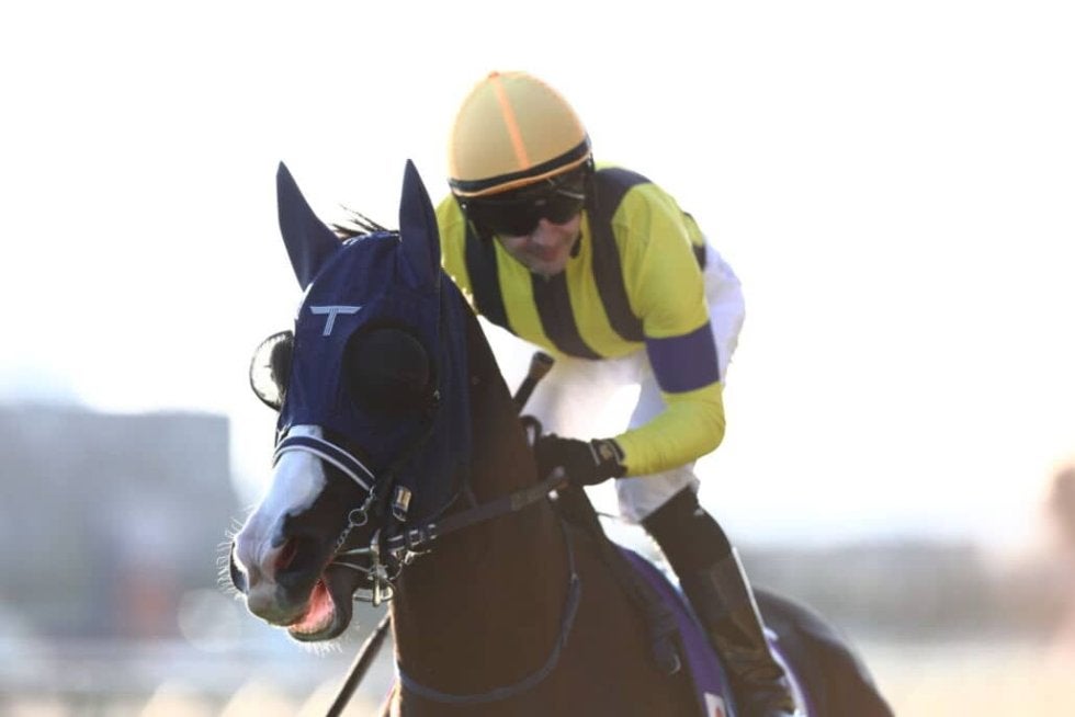 2026 香港チャンピオンズデー 日本馬 単勝馬券 おまけ付き 香港チャンピオンズデー】JRAが馬券発売を発表…マスカレードボールら