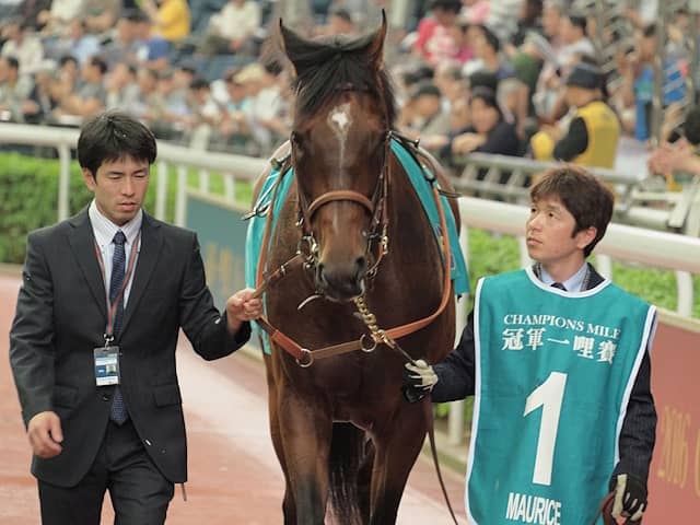 モーリス快走から10年 日本馬唯一のチャンピオンズM制覇 | その他競技