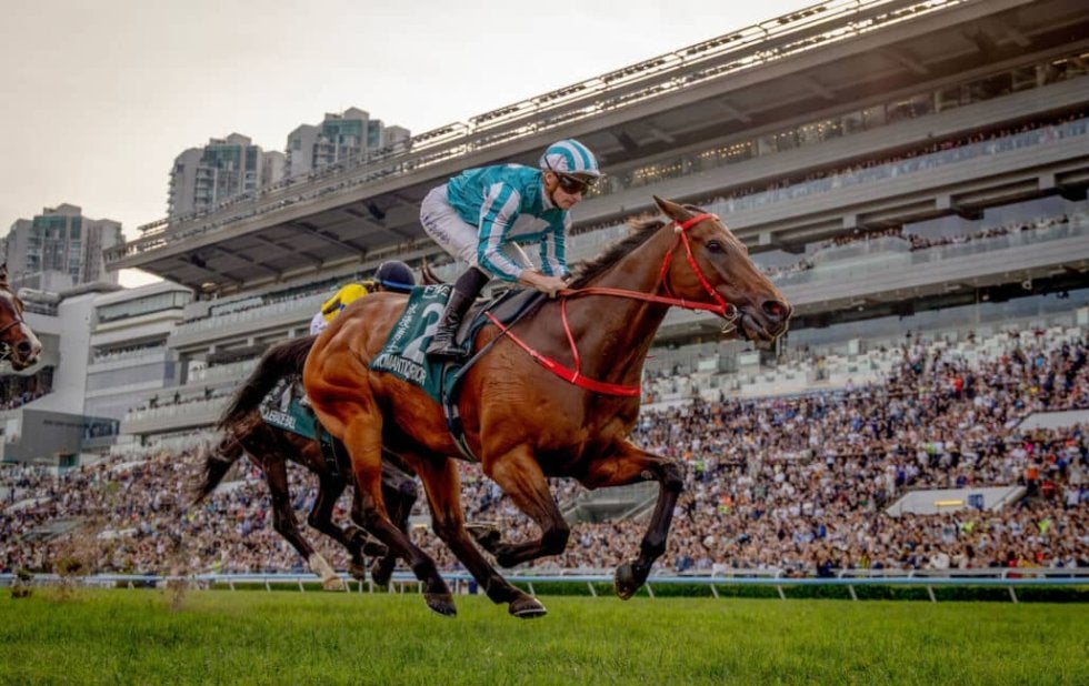これが世界最強！ロマンチックウォリアー、G1・14勝目の貫禄 | その他競技