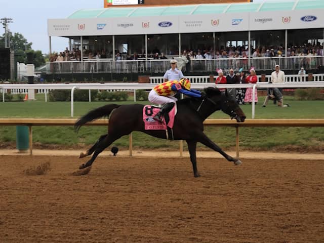 チャーチルダウンズS結果】テーオーエルビスが圧勝！ 日本調教馬初の米