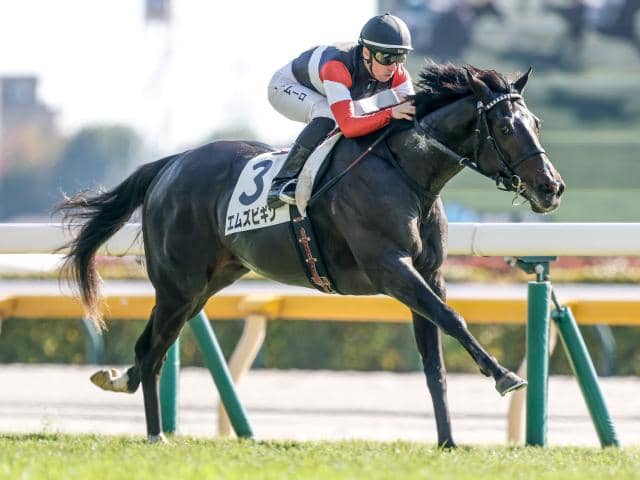 日本ダービー出走馬決定順】エムズビギンまでの18頭が出走可能 カフジ