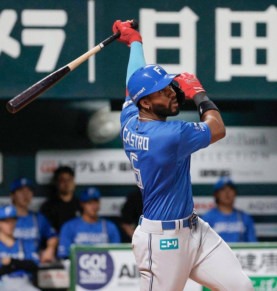 丸山 和郁 - 東京ヤクルトスワローズ（外野手） - プロ野球 セ・パ12