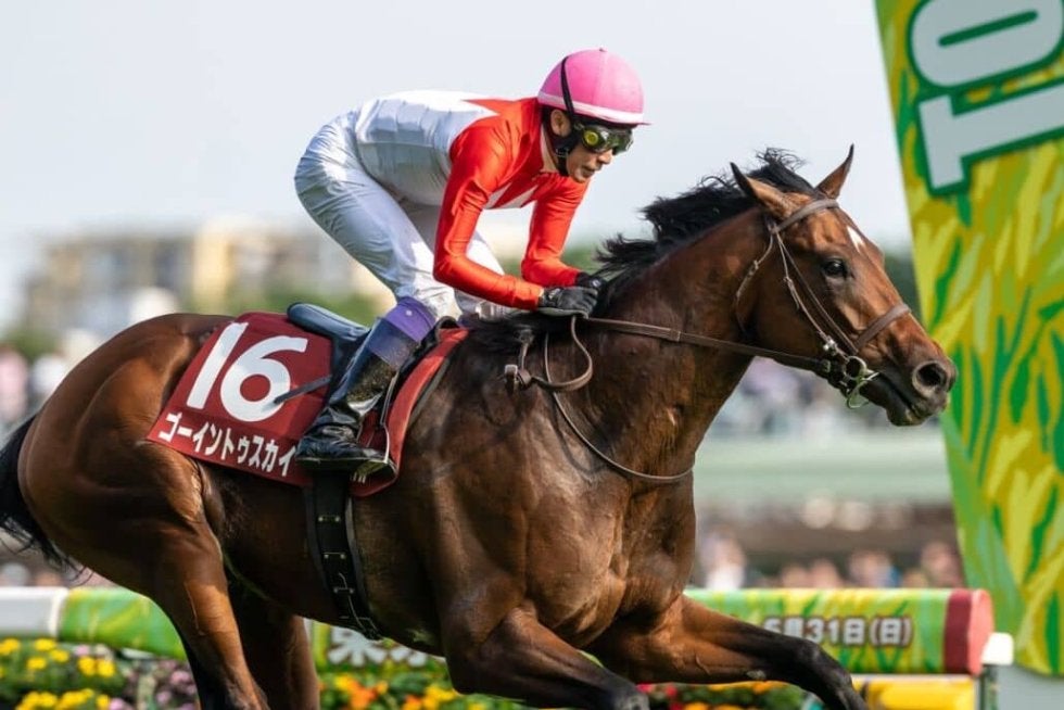 37回目の日本ダービーへ…武豊騎手騎乗馬 | その他競技
