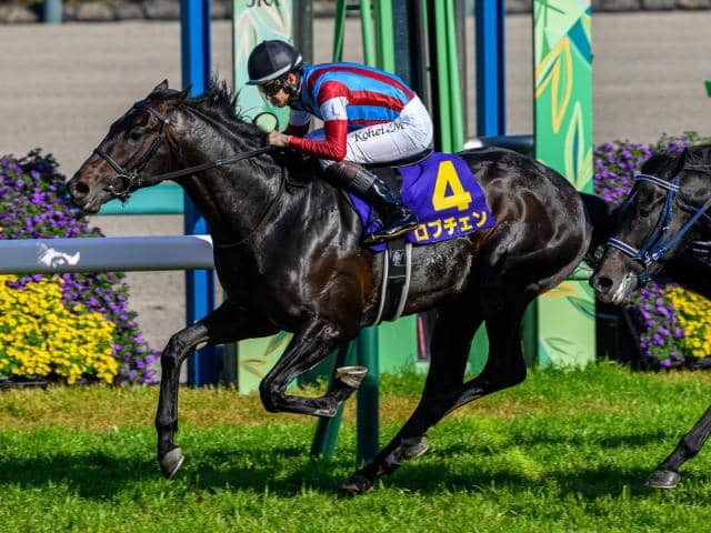 日本ダービー・馬体重】ロブチェンは522kg(+2)、リアライズシリウスは