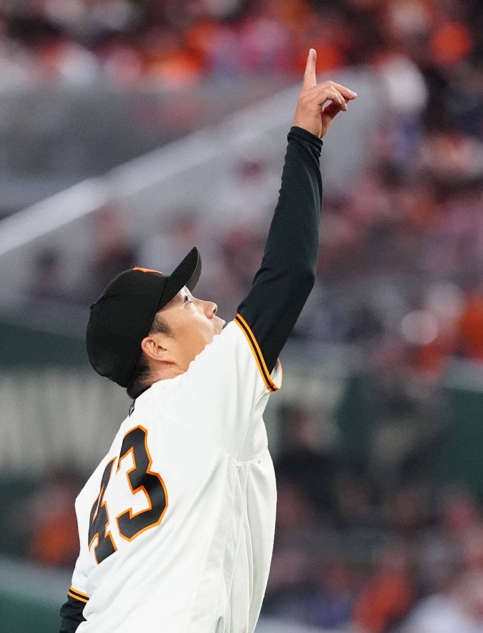 嶺井 博希 - 福岡ソフトバンクホークス（捕手） - プロ野球 セ・パ12