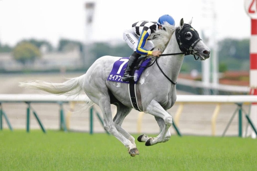お取り置きガイアフォース 2着　安田記念 2026060520430437180400.jpg