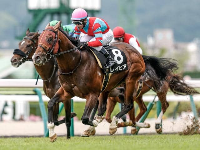 函館スプリントS見どころ】強敵相手の前走で大健闘だったレイピア
