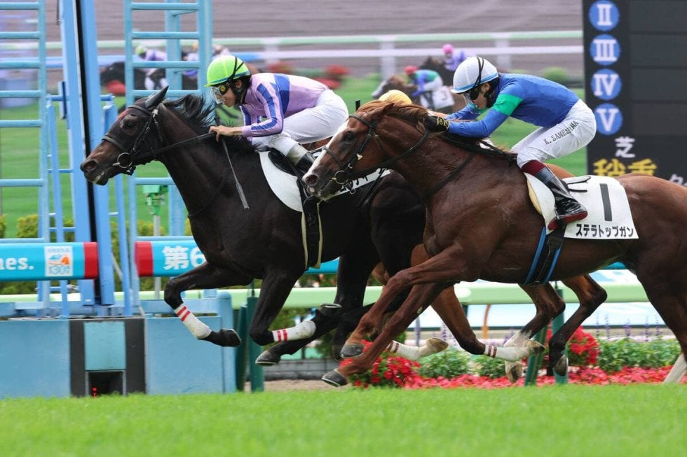 函館5R・2歳新馬】新種牡馬エフフォーリア産駒早くも4勝目