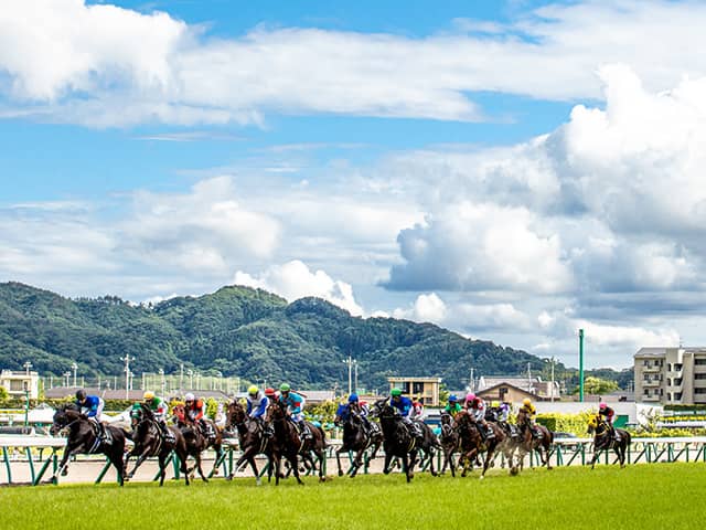 福島5R新馬戦結果】フィエールマン産駒ウインワーグナーが接戦を制す
