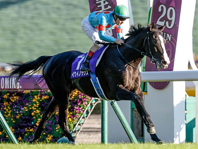 注目のイクイノックス産駒 今年のセレクトセール上場馬は | その他競技