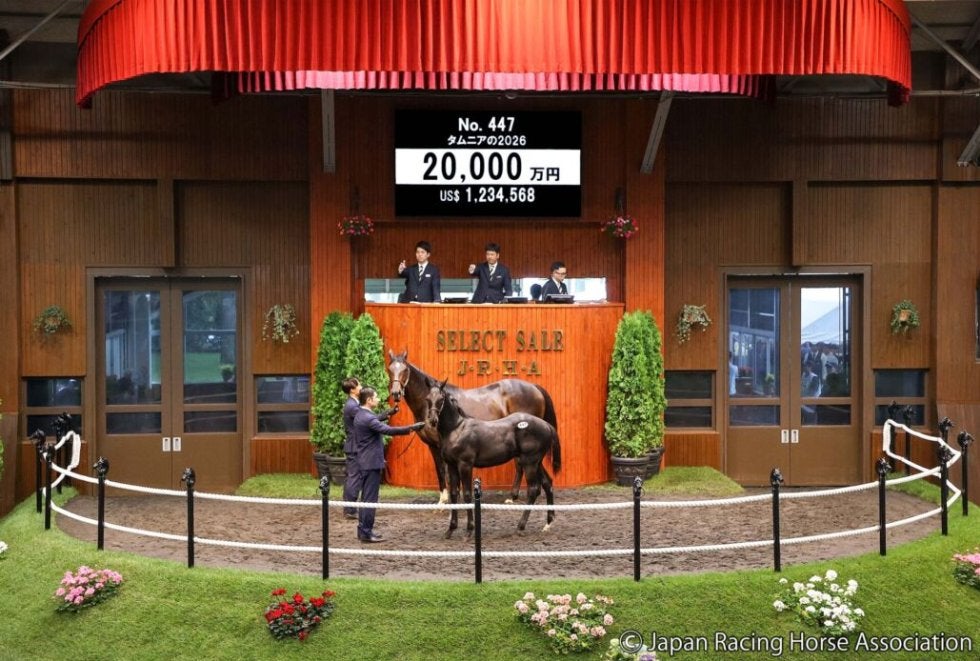 渡辺新一 「狙って取る万馬券確勝法」 貴重 USED セレクトセール2026】キタサンブラック×仏重賞馬に2億円…里見治氏が良