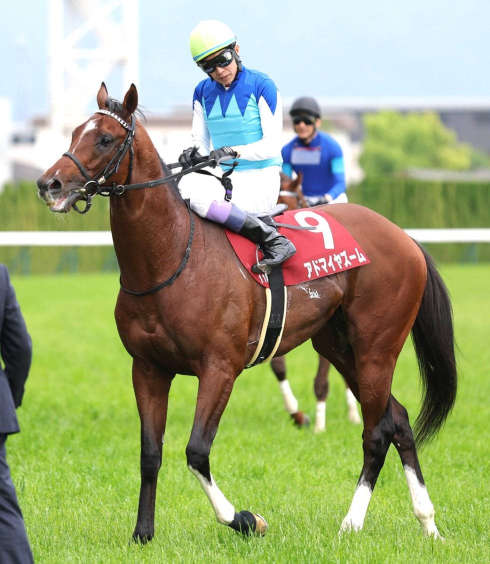 注目馬動向】アドマイヤズームは富士Sからの始動を視野 秋もマイル