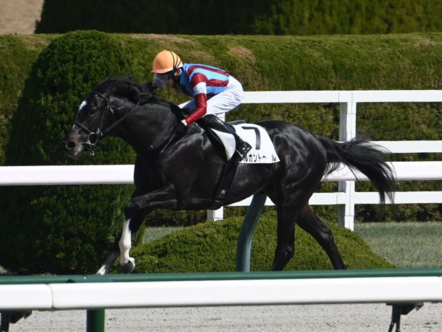 レパードS予想オッズ】メルカントゥールが予想1番人気 | その他競技