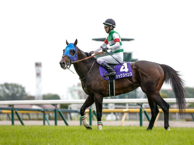 仏・ジャックルマロワ賞枠順確定】シックスペンスは5番ゲート
