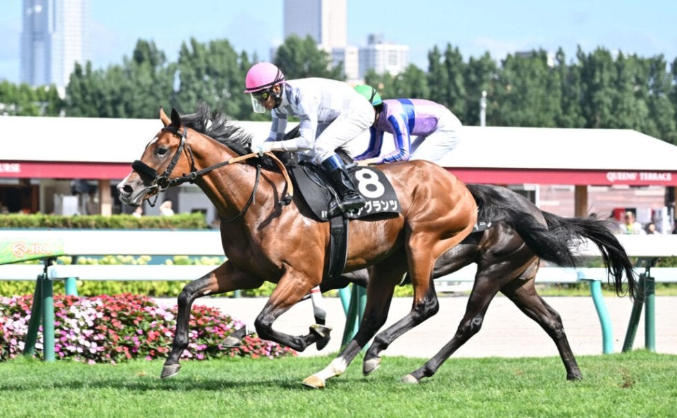 コスモス賞】サトノダイヤモンド産駒・デアグランツがデビュー2連勝