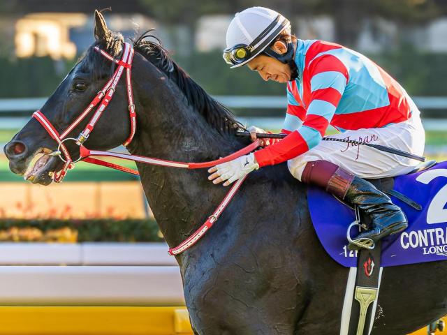 福永祐一厩舎の億超えコントレイル産駒 ドミナントが新馬勝ち狙う