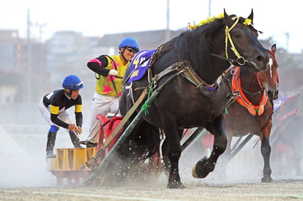 岩田康誠騎手がばんえい競馬で圧勝… あれ！？追っていたのは本業の騎手