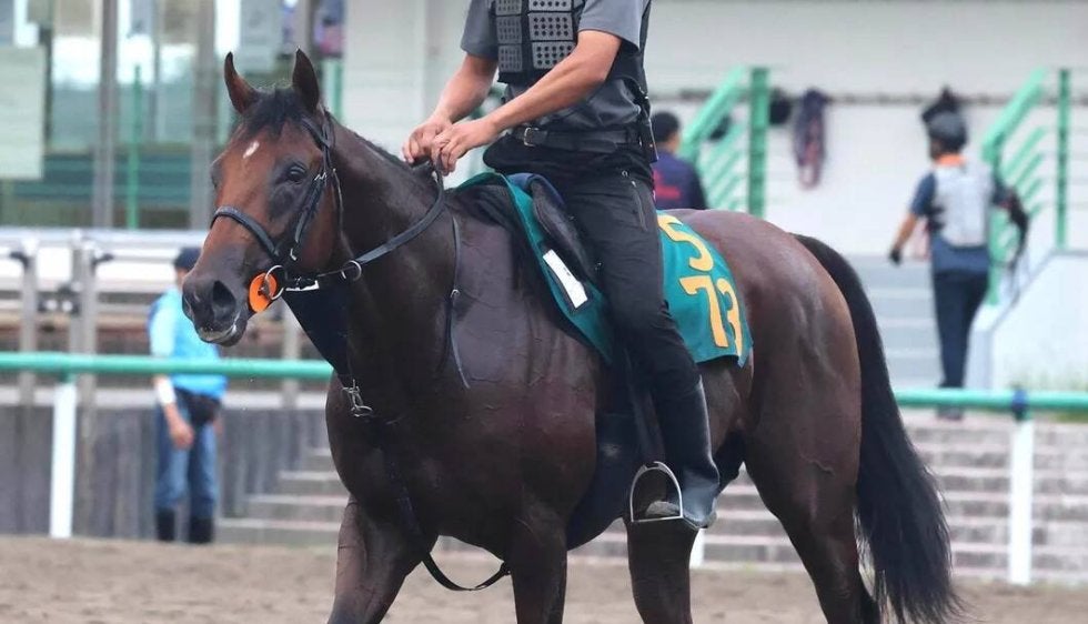 中山6R・2歳新馬】単勝1・4倍の断然人気馬がまさかの馬券圏外
