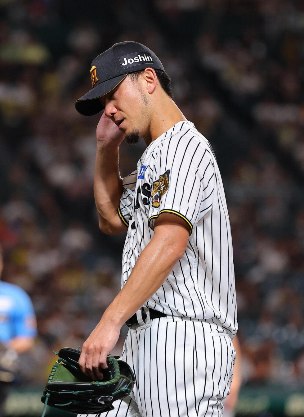筒香 嘉智 - 横浜DeNAベイスターズ（内野手） - プロ野球 セ・パ12球団