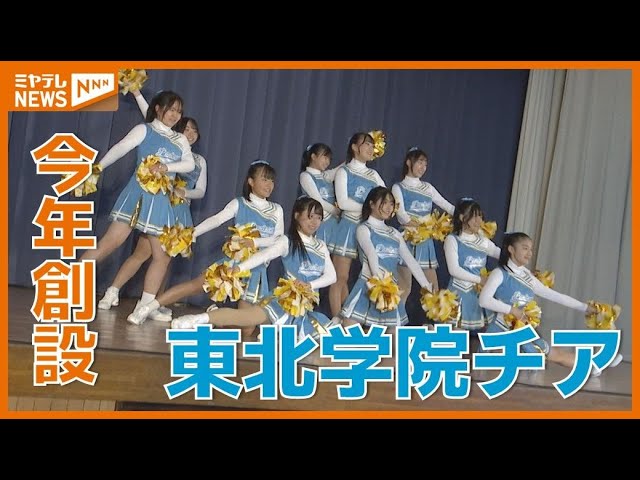 37年ぶり全国大会！高校サッカー東北学院　結成半年チアリーディングチームの思い | 第103回全国高校サッカー選手権