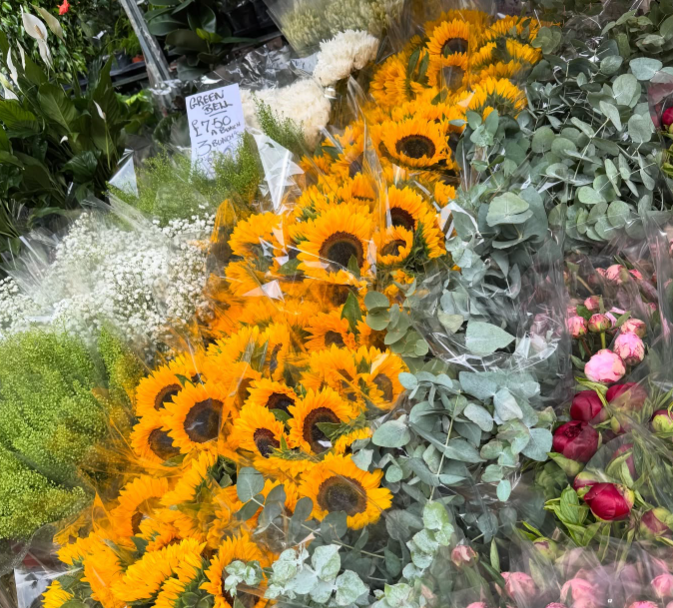 美しすぎる朝の一枚！夏木マリ、花市場で魅せた“心躍るフラワーショット”が話題