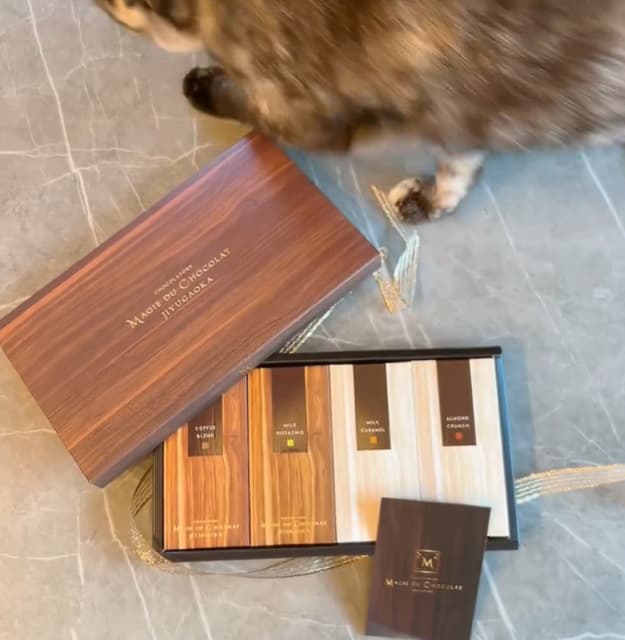 元乃木坂46・相楽伊織 撮影中に思わむハプニング！？可愛いと話題に！