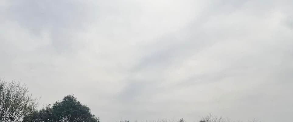 「何気ない日常のなかに幸せが散らばってる。」大和田美帆＆娘、満開の桜を見ながら、素敵な春のひと時を親子で堪能！